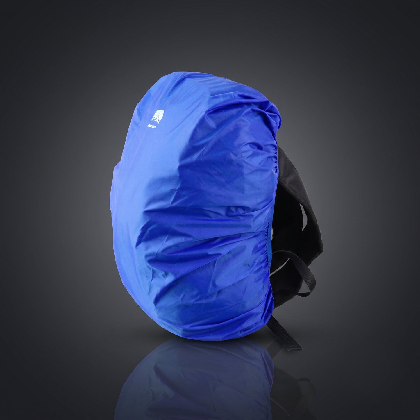 Travel Packable Backpack
